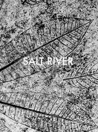 Abbildung von: Salt River - Steidl
