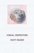 Cover: Visual Inspection - Nightwood Editions