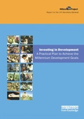 Bild: UN Millennium Development Library: Investing in Development - Routledge