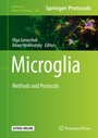 Cover: Microglia - Humana