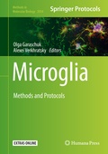 Cover: Microglia - Humana