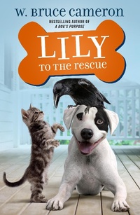 Enlarge image Cover: Lily to the Rescue - Odd Dot