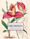 Cover: Orchideen - Haupt Verlag