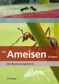 Bild: Die Ameisen Europas - Haupt Verlag