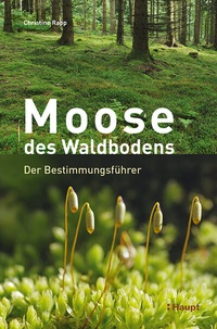 Abbildung von: Moose des Waldbodens - Haupt Verlag