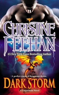 Enlarge image Cover: Dark Storm - Berkley