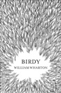 Cover: Birdy - The Friday Project Limited
