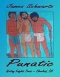 Cover: Punatic - Kindle Direct Publishing