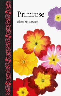 Abbildung von: Primrose - Reaktion Books