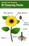 Cover: Genetics And Taxonomy Of Flowering Plants - Koros Press Limited