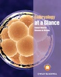 Bild: Embryology at a Glance - Wiley-Blackwell