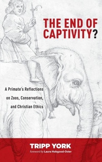 Enlarge image Cover: The End of Captivity? - Cascade Books