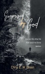 Cover: Surprised by God - Cascade Books