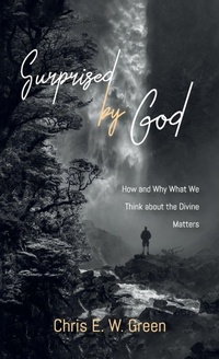 Enlarge image Cover: Surprised by God - Cascade Books