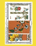 Cover: Polychromie und Wissen - Hirmer