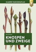 Cover: Knospen und Zweige - Verlag Eugen Ulmer