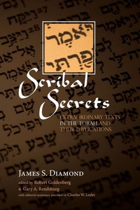Enlarge image Cover: Scribal Secrets - Wipf & Stock Publishers