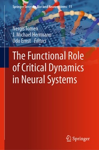 Abbildung von: The Functional Role of Critical Dynamics in Neural Systems - Springer