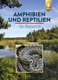 Abbildung von: Amphibien und Reptilien in Bayern - Verlag Eugen Ulmer