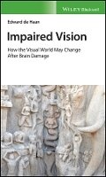 Cover: IMPAIRED VISION - How the visual world may change after brain damage - Wiley