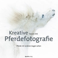 Abbildung von: Kreative Pferdefotografie - dpunkt