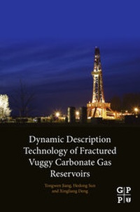 Abbildung von: Dynamic Description Technology of Fractured Vuggy Carbonate Gas Reservoirs - Gulf Professional Publishing