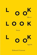 Cover: Look Here Look Away Look Again - De Gruyter
