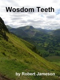 Cover: Wosdom Teeth (The Wosdom Series, #4) - Robert Jameson