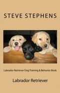 Cover: Labrador Retriever Dog Training & Behavior Book - Vince Stead