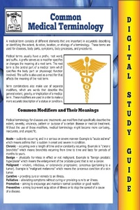 Enlarge image Cover: Common Medical Terminology ( Blokehead Easy Study Guide) - The Blokehead Success Series