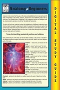 Cover: Anatomy For Beginners (Blokehead Easy Study Guide) - The Blokehead Success Series