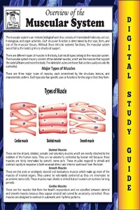 Enlarge image Cover: Muscular System ( Blokehead Easy Study Guide) - The Blokehead Success Series