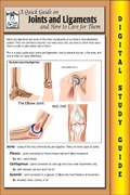 Cover: Joints and Ligaments ( Blokehead Easy Study Guide) - The Blokehead Success Series
