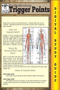 Cover: Trigger Points (Blokehead Easy Study Guide) - The Blokehead Success Series