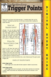 Enlarge image Cover: Trigger Points (Blokehead Easy Study Guide) - The Blokehead Success Series