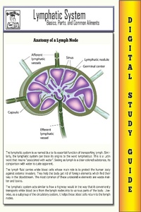 Enlarge image Cover: Lymphatic System ( Blokehead Easy Study Guide) - The Blokehead Success Series
