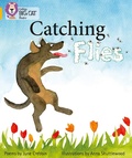 Cover: Catching Flies - Collins