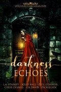 Cover: Darkness Echoes - BrixBaxter Publishing