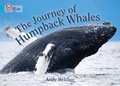 Cover: The Journey of Humpback Whales - Collins