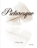 Cover: Picturesque - John Doyle