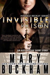 Enlarge image Cover: Invisible Prison (Invisible Recruits, #1) - Cantwell Publishing, LLC