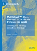 Cover: Multilateral Wellbeing Comparison in a Many Dimensioned World - Palgrave Macmillan