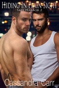 Cover: Hiding In Plain Sight (Safe Harbor, #2) - Safe Harbor
