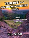 Cover: Trouble in a Politically-Correct Town - D. M. Kreg Publishing