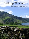 Cover: Seeking Wosdom (The Wosdom Series, #2) - The Wosdom Series