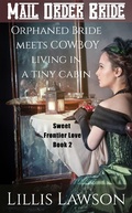 Cover: Orphaned Bride Meets Cowboy Living In A Tiny Cabin (Colorado Cowboys Looking For Love, #2) - Colorado Cowboys Looking For Love