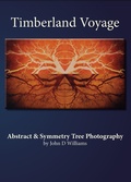 Cover: Timberland Voyage Abstract & Symmetry Tree Art Photography - John D Williams