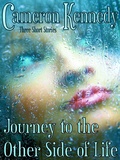 Cover: Journey to the Other Side of Life - D. M. Kreg Publishing