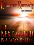 Cover: The Next World Is Always Better - D. M. Kreg Publishing