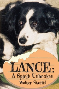 Enlarge image Cover: Lance: A Spirit Unbroken - Diamond Publishing International